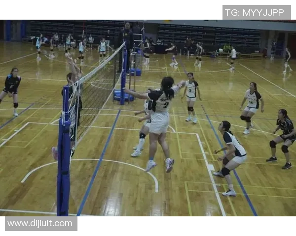 排球盛宴：深入了解西安排球队的团队配合与默契之道