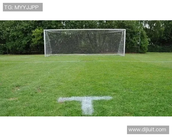 足球门间距对比赛结果的影响及其在不同级别赛事中的应用分析